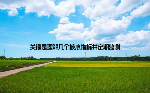 关键是理解几个核心指标并定期监测