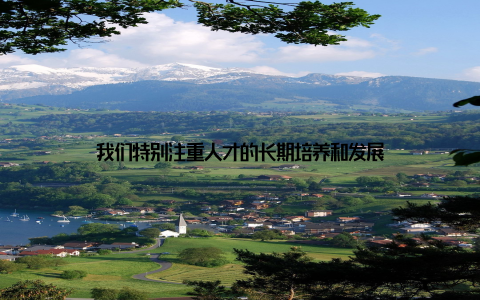 我们特别注重人才的长期培养和发展