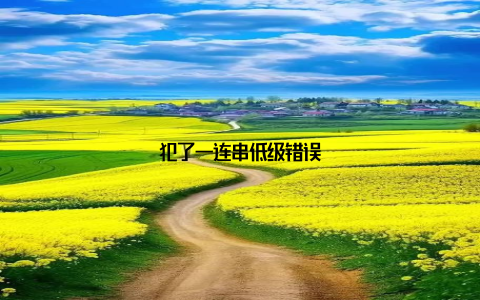 犯了一连串低级错误