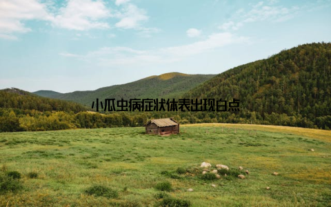 小瓜虫病症状体表出现白点