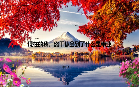 现在的我, 终于体会到了什么是事业