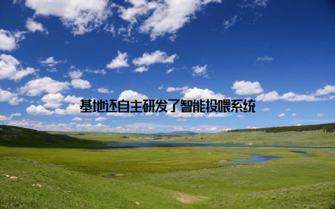 基地还自主研发了智能投喂系统