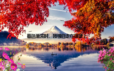 暮色渐浓时, 我独自走在田埂上