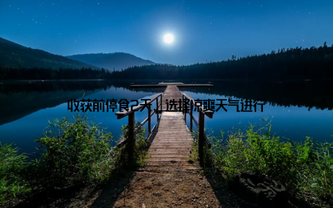 收获前停食2天, 选择凉爽天气进行