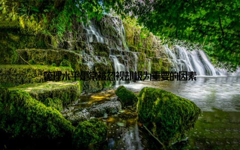 管理水平是常被忽视却极为重要的因素