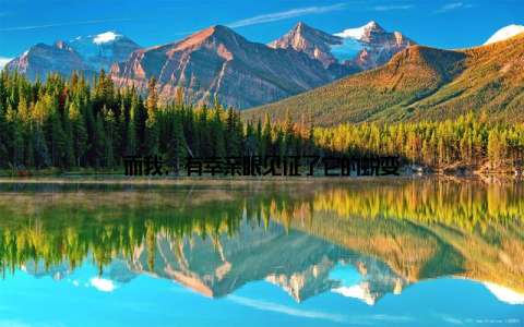 而我, 有幸亲眼见证了它的蜕变