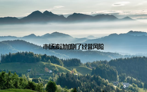 市场波动加剧了经营风险