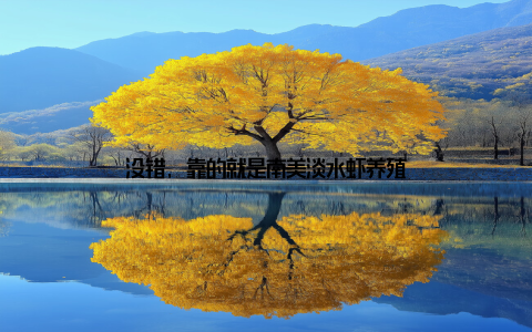 没错, 靠的就是南美淡水虾养殖