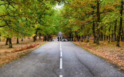 第四, 转型要趁早