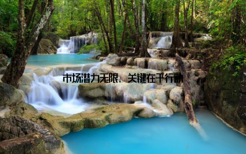 市场潜力无限, 关键在于行动