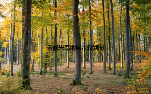 老林兴奋地展示规划图