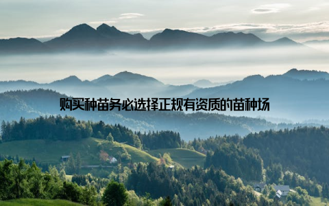 购买种苗务必选择正规有资质的苗种场