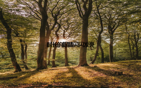 村长的眼睛闪闪发亮