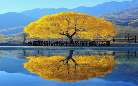 水草栽培技术是生态系统的核心支撑