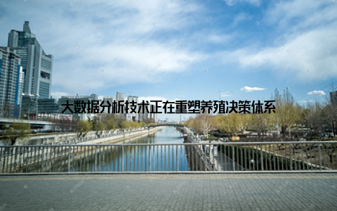 大数据分析技术正在重塑养殖决策体系