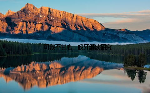 ”可我不甘心, 咬牙继续研究