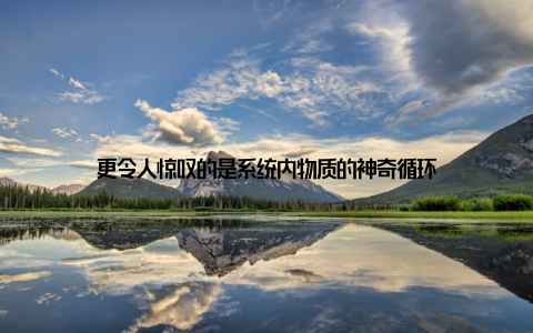 更令人惊叹的是系统内物质的神奇循环