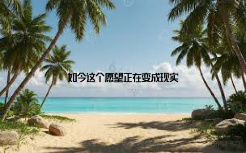 如今这个愿望正在变成现实