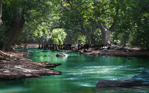 从选苗到投喂, 都得一步步学