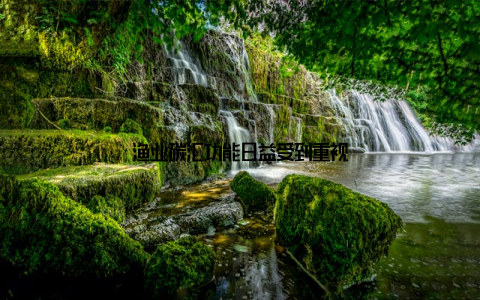 渔业碳汇功能日益受到重视