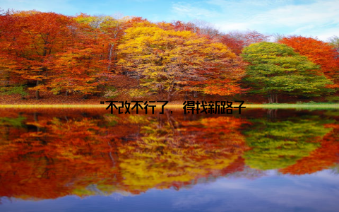 “不改不行了, 得找新路子