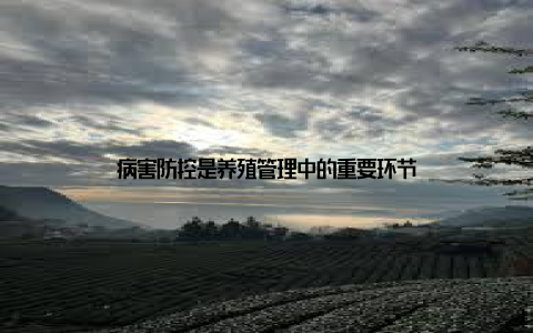 病害防控是养殖管理中的重要环节