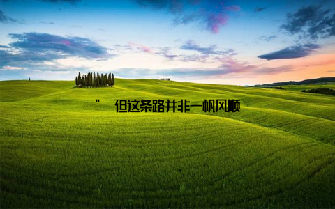 ” 但这条路并非一帆风顺