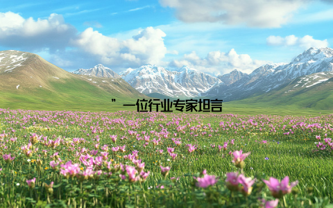 ”一位行业专家坦言