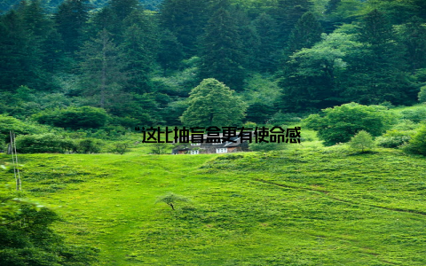 “这比抽盲盒更有使命感