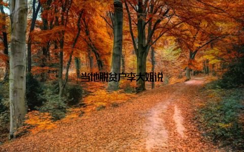 当地脱贫户李大姐说