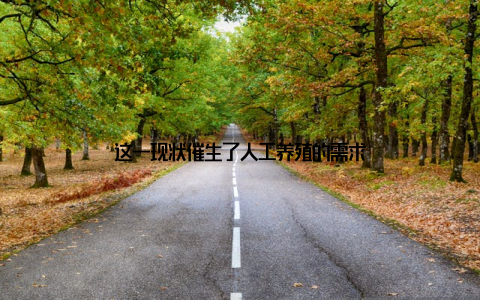 这一现状催生了人工养殖的需求