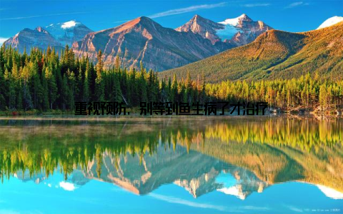 重视预防, 别等到鱼生病了才治疗