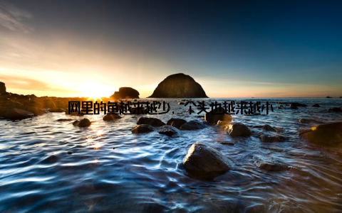 网里的鱼越来越少, 个头也越来越小