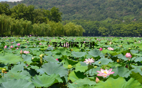 ”李大山捏紧了茶杯