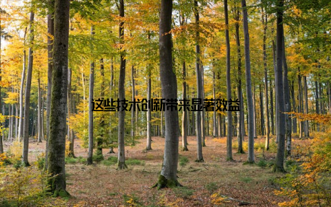 这些技术创新带来显著效益