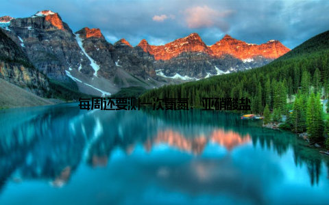 每周还要测一次氨氮、亚硝酸盐