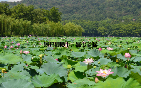 避开砂质土, 减少渗漏