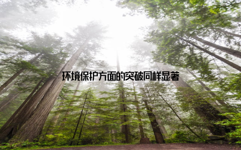 环境保护方面的突破同样显著