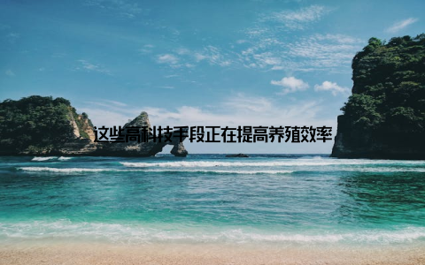 这些高科技手段正在提高养殖效率