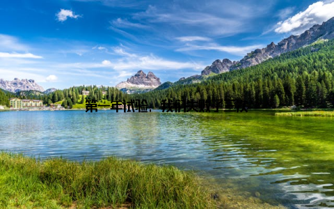 第一年试验, 我们失败了三次