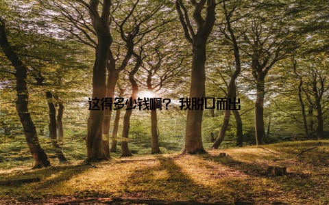 这得多少钱啊? 我脱口而出