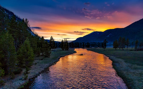 第二天我就开始疯狂查阅资料