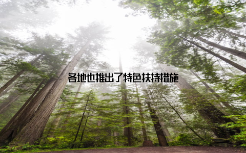 各地也推出了特色扶持措施