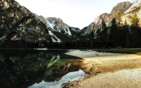 它给了我财富, 更给了我人生的方向