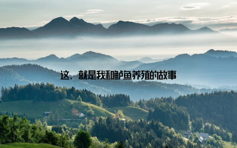这, 就是我和鲈鱼养殖的故事