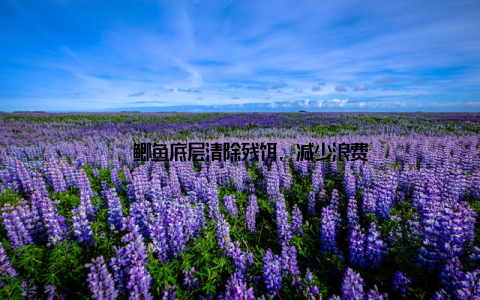 – 鲫鱼底层清除残饵, 减少浪费