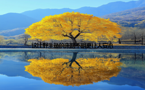 这比野生鱼的来路不明更让人安心