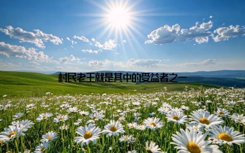 村民老王就是其中的受益者之一